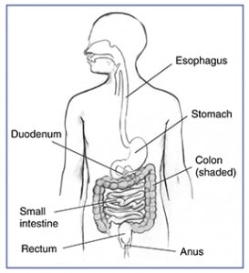 Cure Heartburn By Changing Your Diet